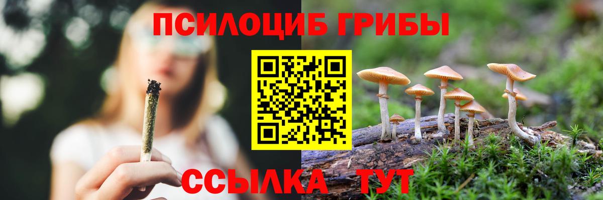 Галлюциногенные грибы Psilocybine cubensis  Вход с VPN  Россошь 